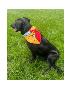 Super Scooter™ Pet Bandana