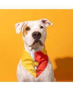 Super Scooter™ Pet Bandana